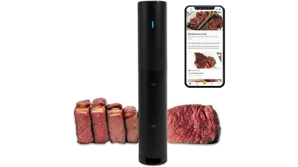 anova culinary sous vide 2024