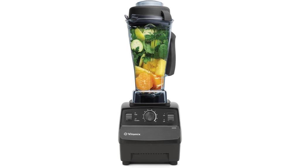 professional grade vitamix blender